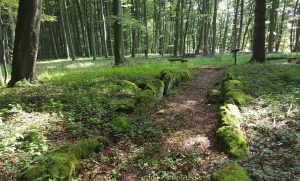 Das Großsteinkammergrab in Warburg Rimbeck der Wartbergkultur